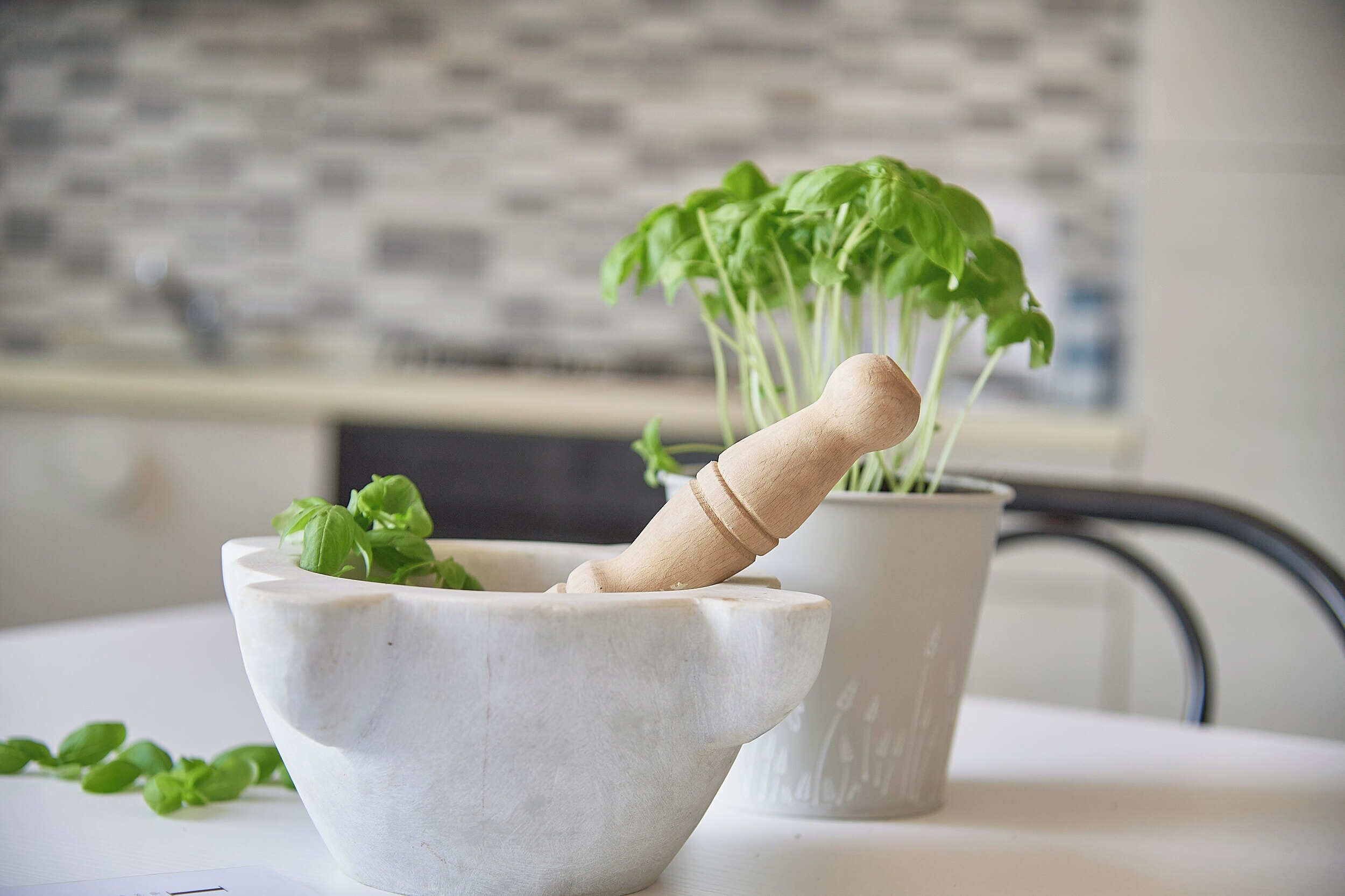Un mortier et un pilon en marbre, avec une plante qui pousse à l’intérieur, posés sur une table.