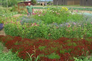 A garden with various flowers and a person standing in the middle. - Holiday apartment with 1 bedroom (Eichstetten am Kaiserstuhl)