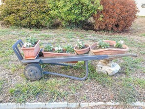 A wheelbarrow with potted plants on a gravel path. - A5minutidallagodorta (Gozzano)