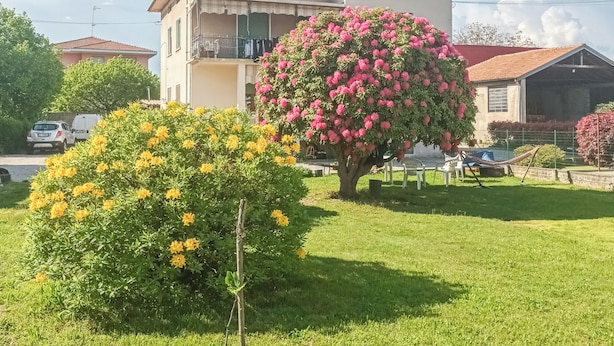 A residential building with a tiled roof, a balcony, and a well-maintained lawn with flowering bushes.