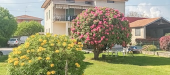 A5minutidallagodorta