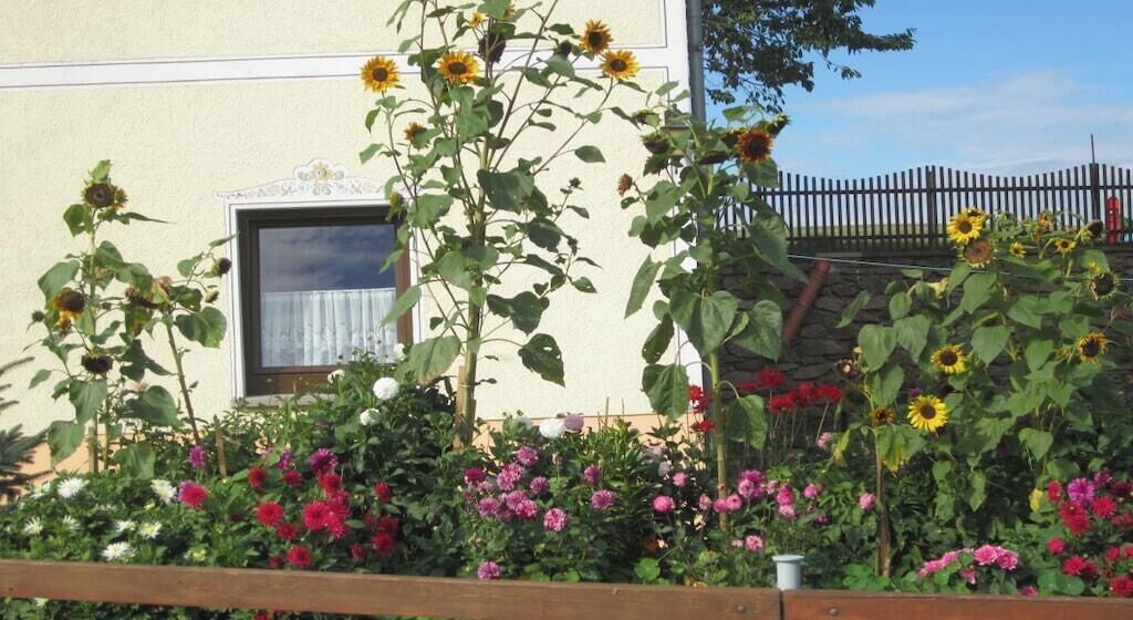A garden with sunflowers and various flowers in front of a building with a window and a fence.