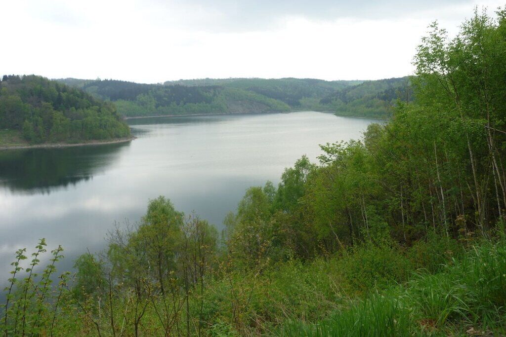 A calm lake surrounded by dense forest.
