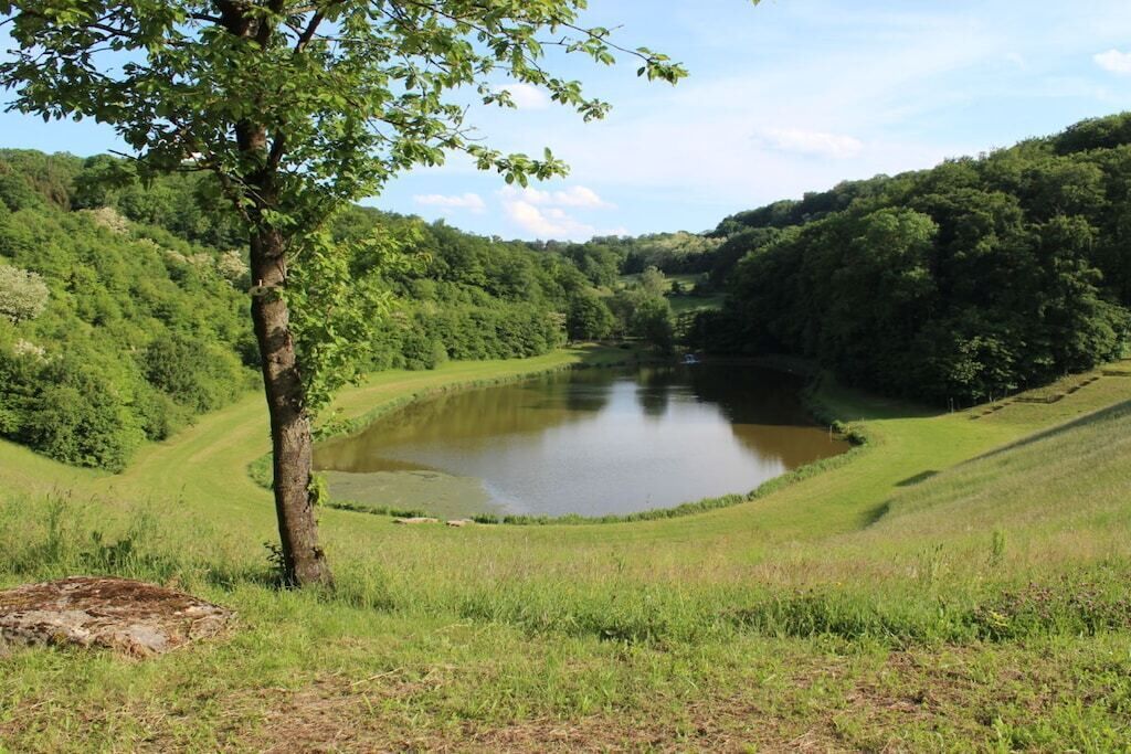 Un paysage naturel comprenant une étendue d’eau, un arbre et une zone herbeuse.