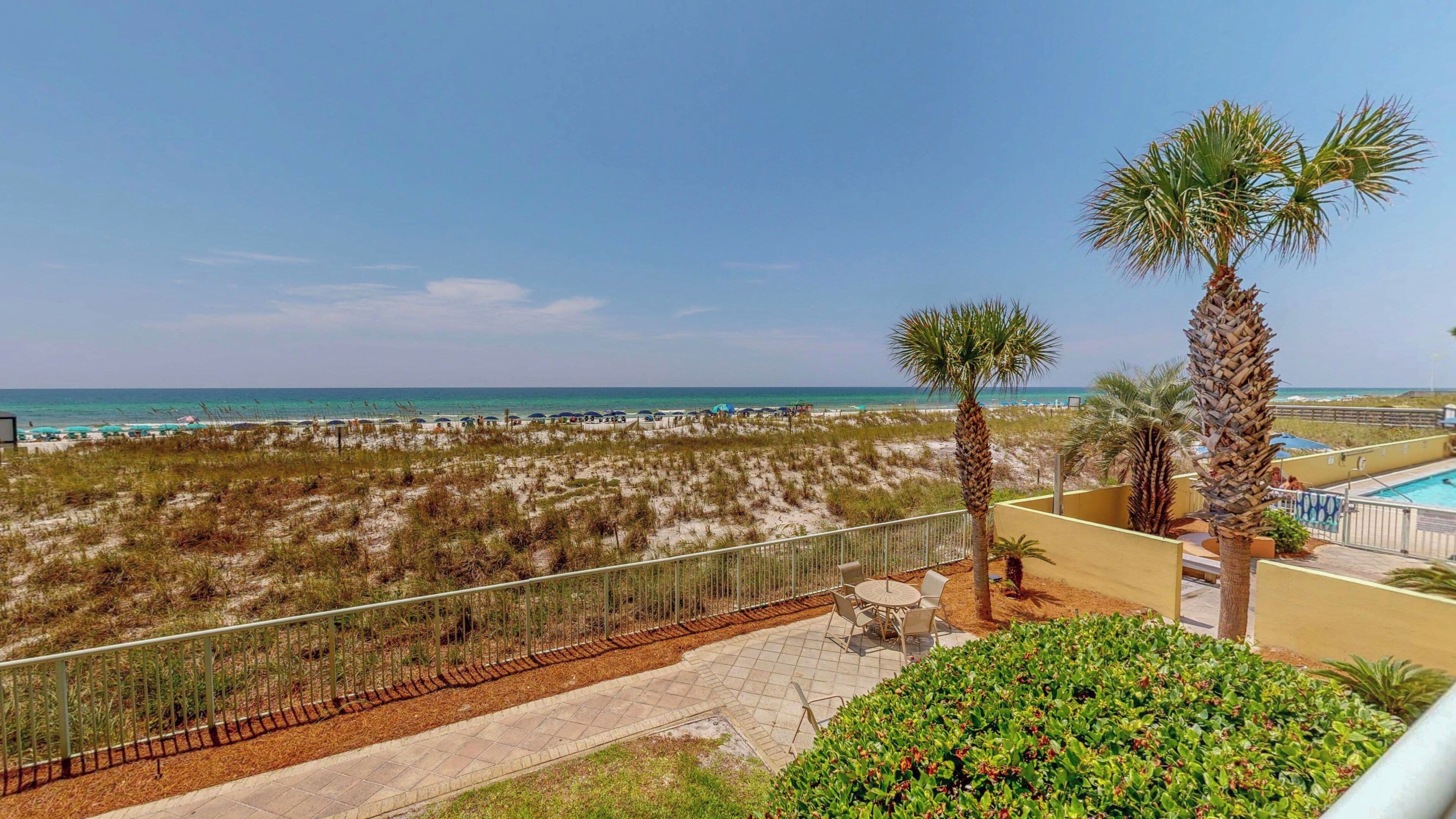 A beach view with a pool, palm trees, and a fenced area with outdoor seating.