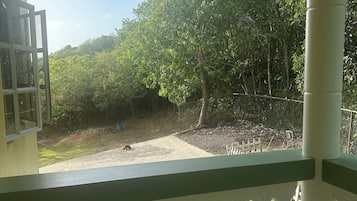 A balcony with a view of a garden and trees.