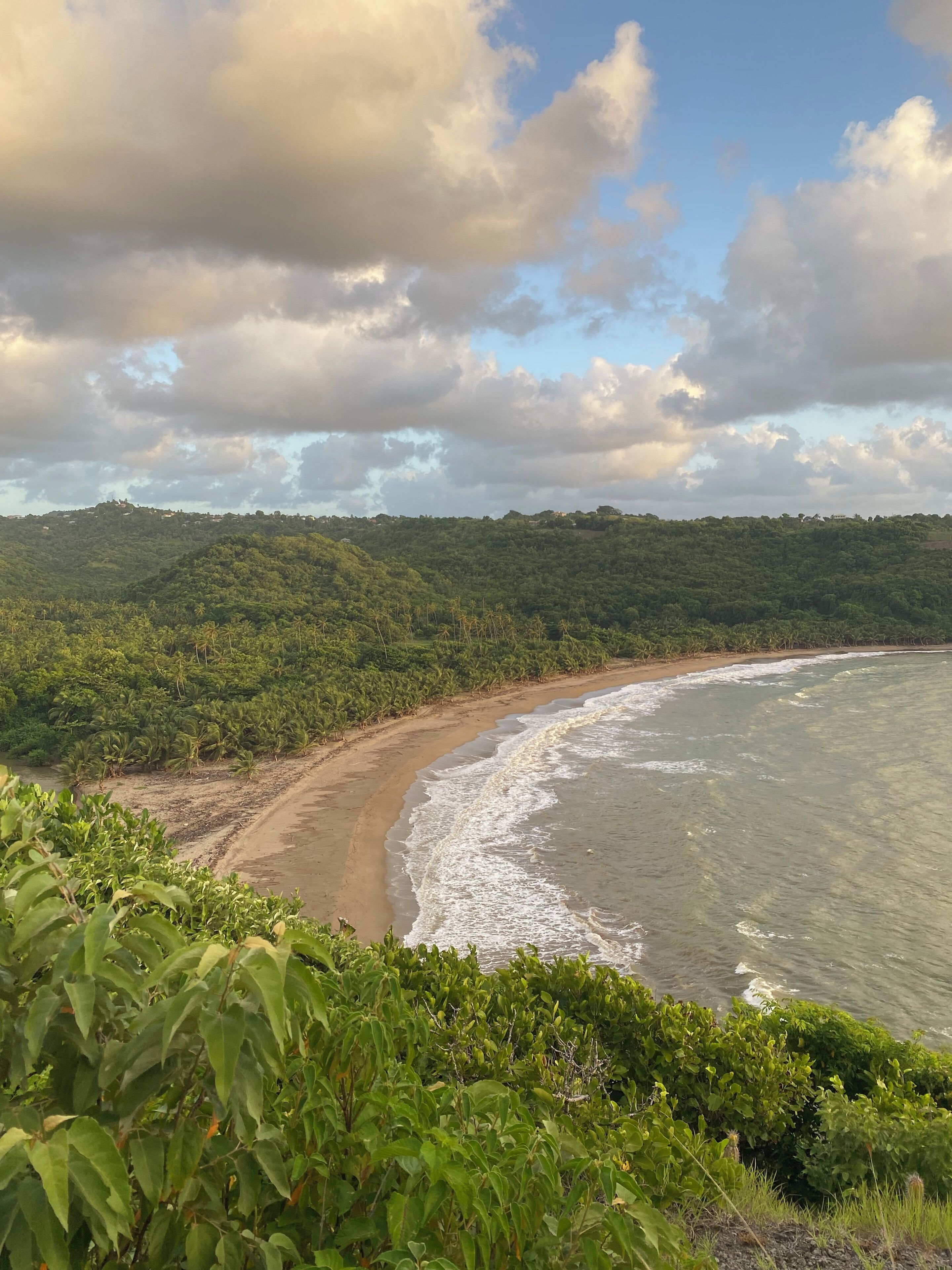 A coastal landscape with a beach, waves, and a forested hill.