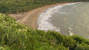 Paisagem costeira com praia, ondas e uma colina arborizada.