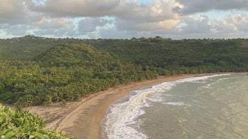 A coastal landscape with a beach, waves, and a forested hill.