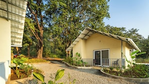 A building with a sloped roof, a gravel driveway, and a garden with various plants.