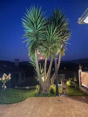 A well-lit outdoor area with a wooden deck, a palm tree, and a decorative urn.