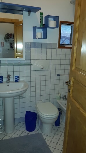 A bathroom with a white sink, toilet, and blue storage shelves. - Apartment 'Suite Delle Rose' with Shared Garden, Wi-Fi and Air Conditioning (La Maddalena)
