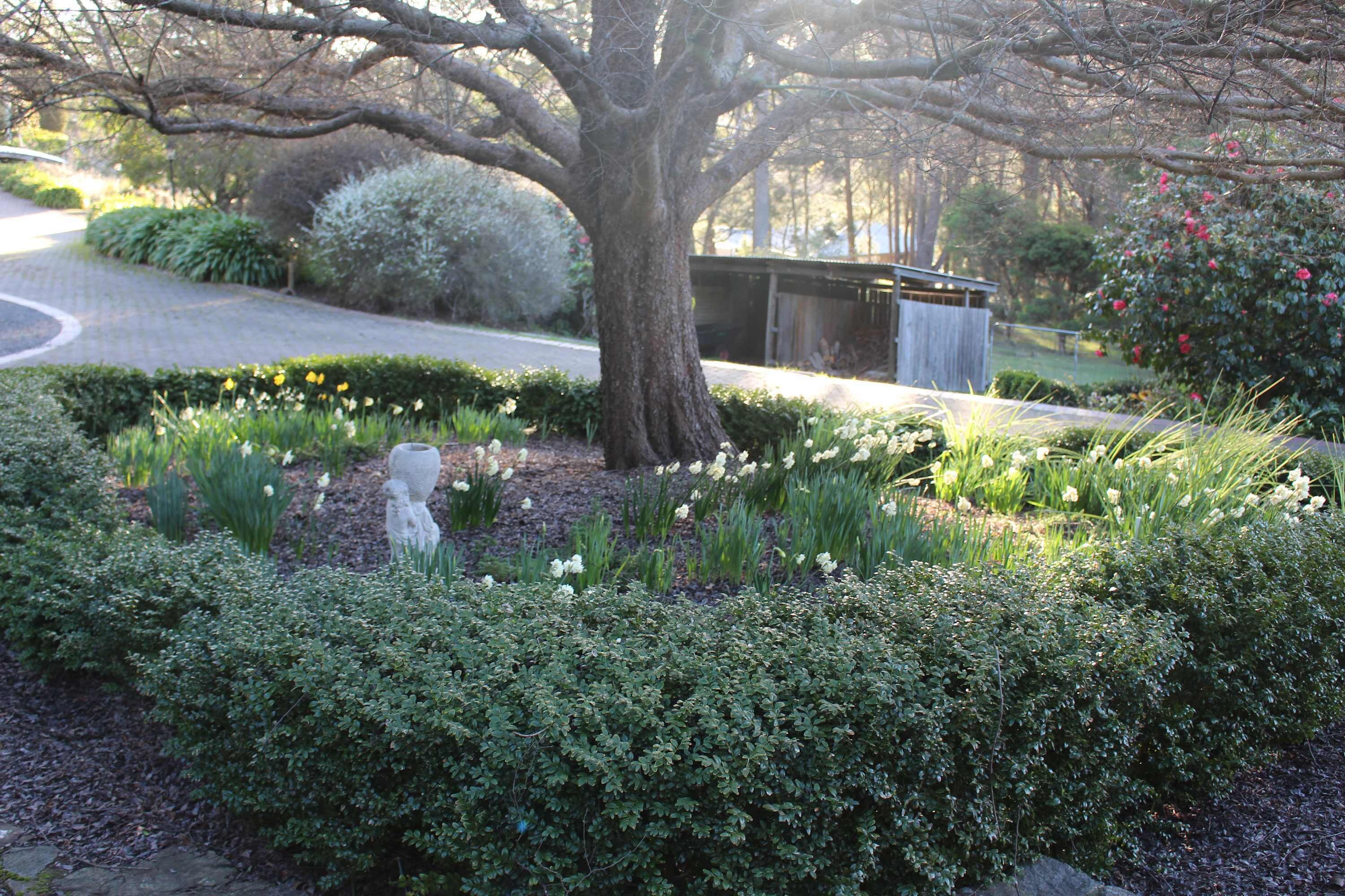 Ein Garten mit einem großen Baum, einer Statue und verschiedenen Pflanzen.