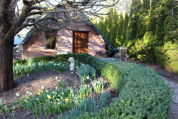 A rustic cabin with a wooden door and window, surrounded by a garden with daffodils and a hedge.