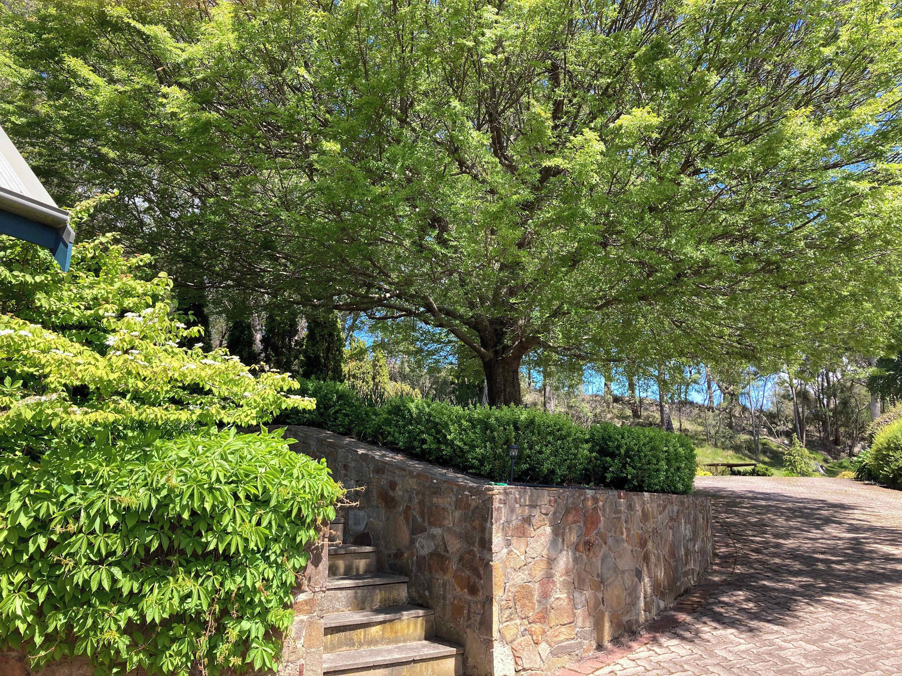 A stone staircase leading up to a building, surrounded by lush greenery and trees.