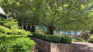 A stone staircase leading up to a building, surrounded by lush greenery and trees. - Villa Marche - Taste of Tuscany (Riverside)