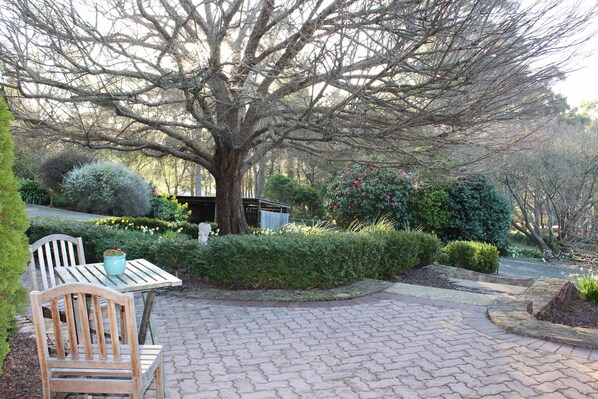 A paved patio area with a wooden bench and a table, surrounded by well-maintained hedges and a large tree.
