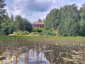 A house surrounded by dense greenery and a pond with lily pads.