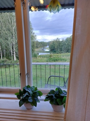 A view from a window with a railing, overlooking a river and a forested area.