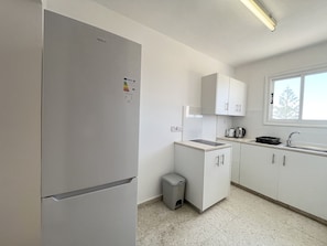 Eine moderne Küche mit Einbaukühlschrank, einer kleinen Spüle und einem Fenster über der Arbeitsfläche.