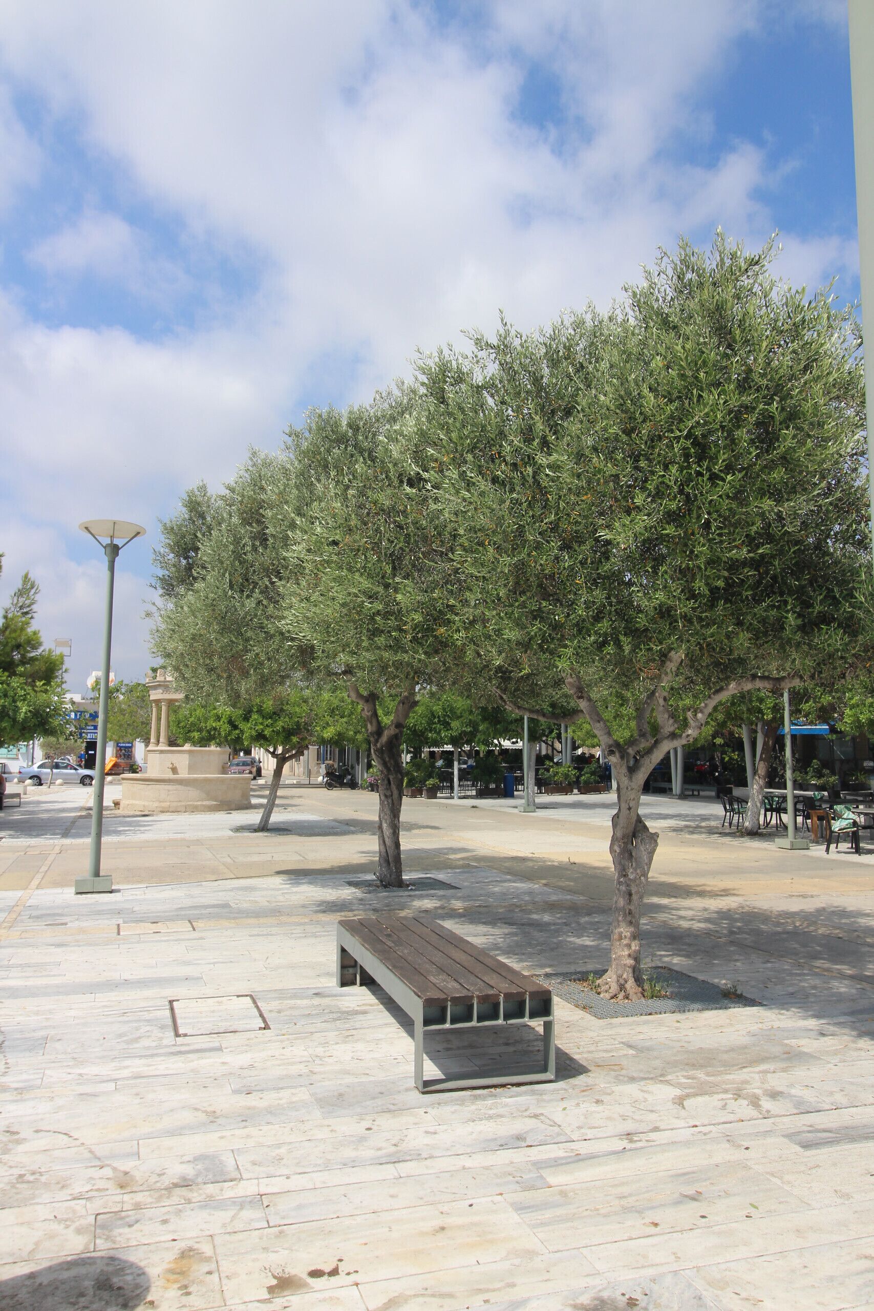 A public square with a bench, trees, and a street lamp.