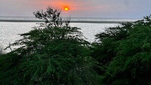 Ein Sonnenuntergang über einem Gewässer mit Bäumen im Vordergrund.