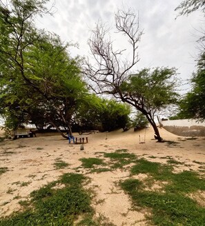 Un espace sablonneux avec des arbres et un banc.