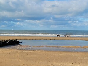 A beach with horses and riders, a calm sea, and a partly cloudy sky. - Cocon Entre Mer, Nature et Histoire (Blonville-sur-Mer)