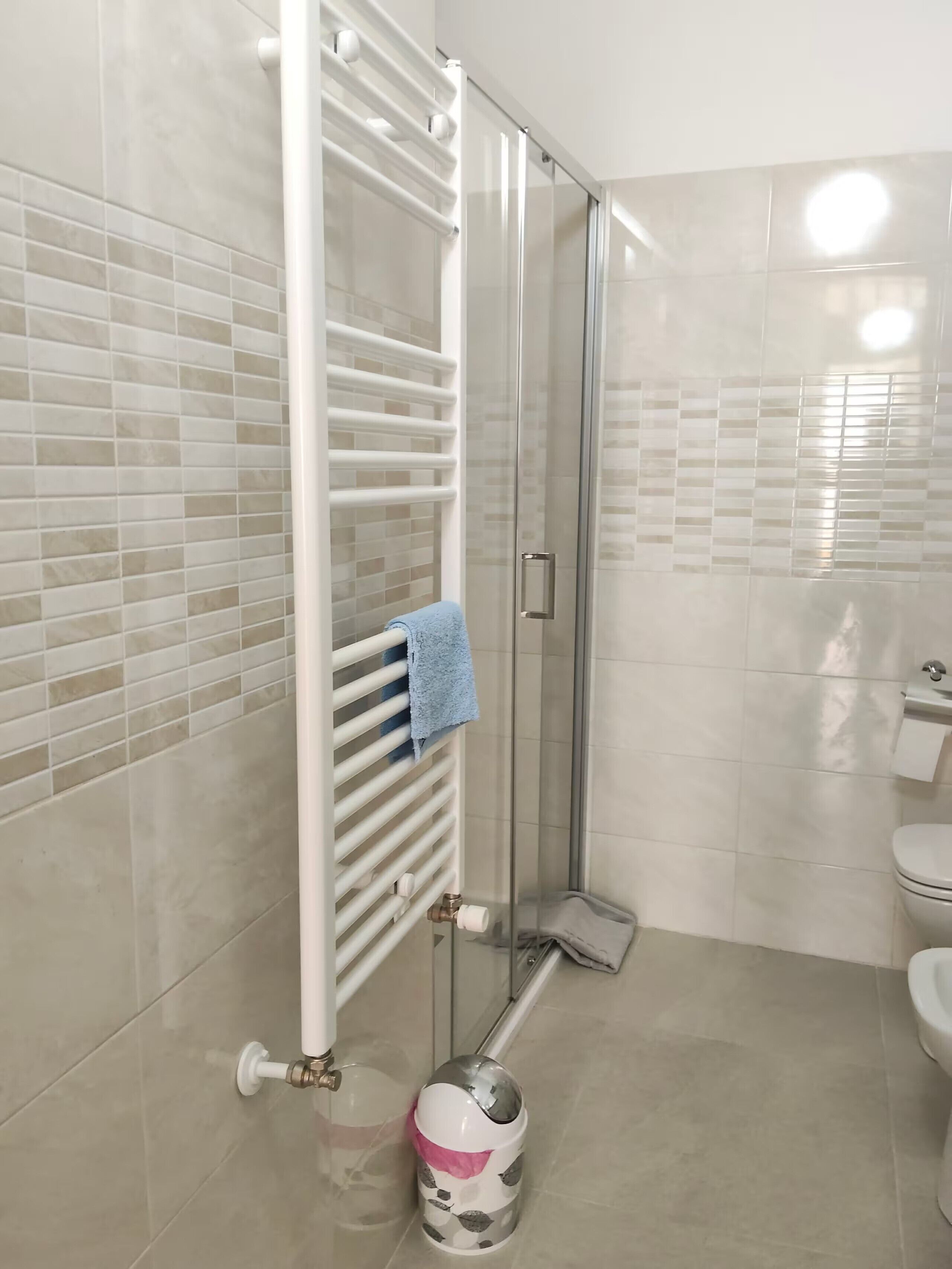 Ein Badezimmer mit Duschkabine aus Glas, einem weißen Handtuchhalter mit blauem Handtuch, einer Toilette und einem Mülleimer.