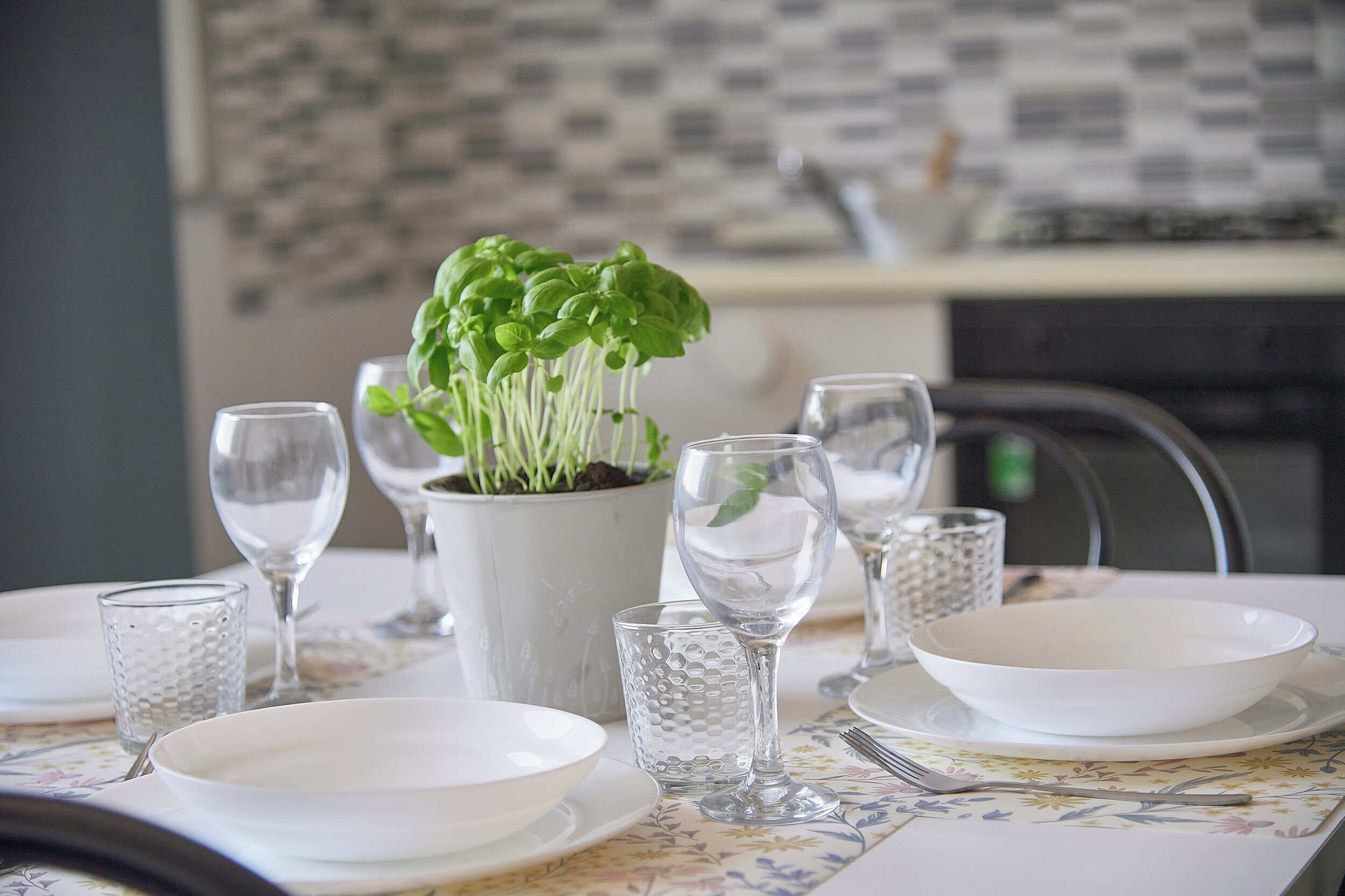 A dining table set with white plates, clear glassware, and a potted basil plant.