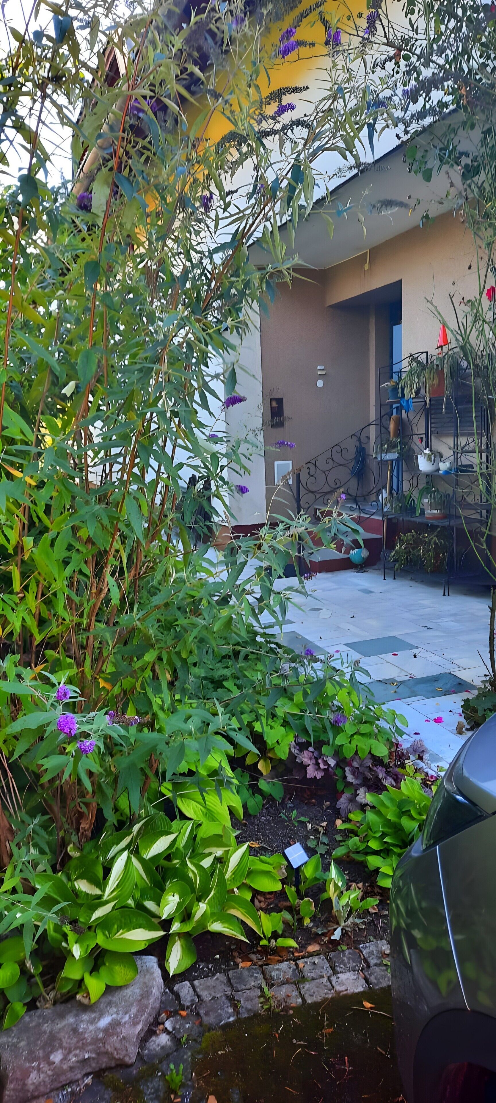 Ein Gartenbereich mit unterschiedlichen Pflanzen und Blumen, ein gepflasterter Weg und ein Gebäude mit einem Balkon.