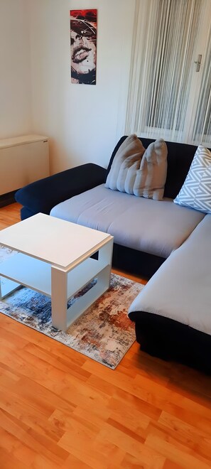 A living room with a sofa, a coffee table, and a rug.