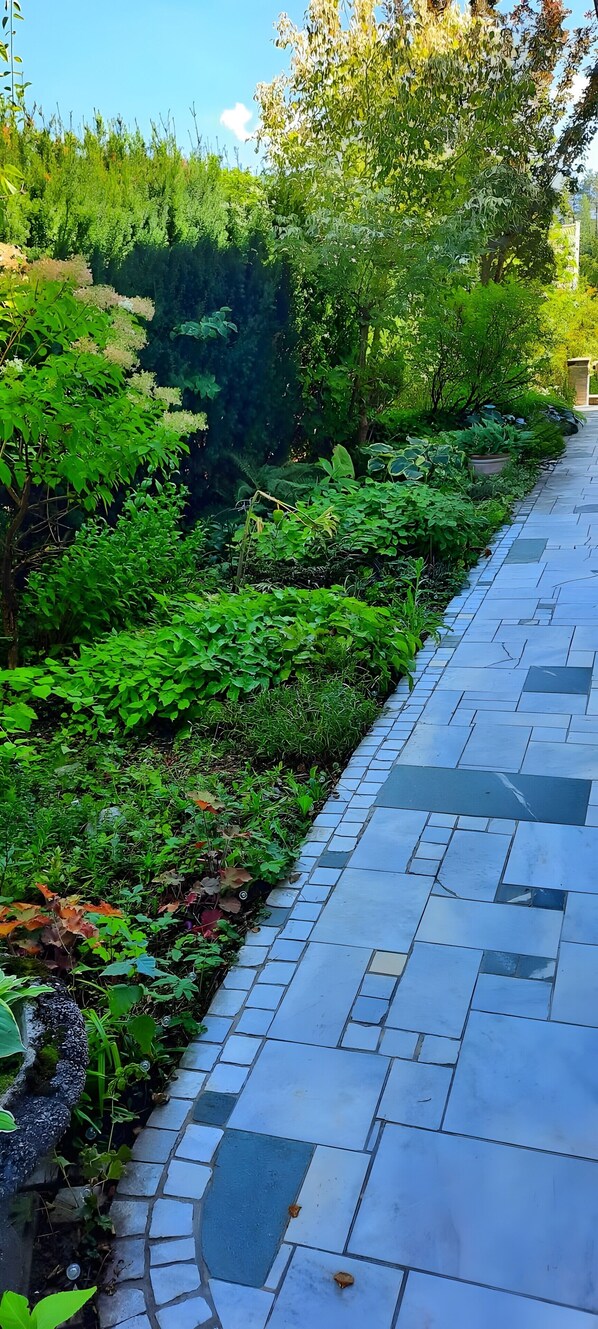 Un sendero pavimentado bordeado de exuberante vegetación y diversas plantas.