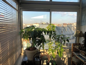 Une pièce avec une grande fenêtre, une plante en pot, une chaise et un bureau avec une lampe.
