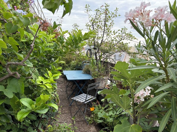 Outdoor dining - Vrbo Property (Paris)