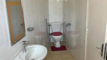 Une salle de bain avec un lavabo blanc, des toilettes et un espace douche.