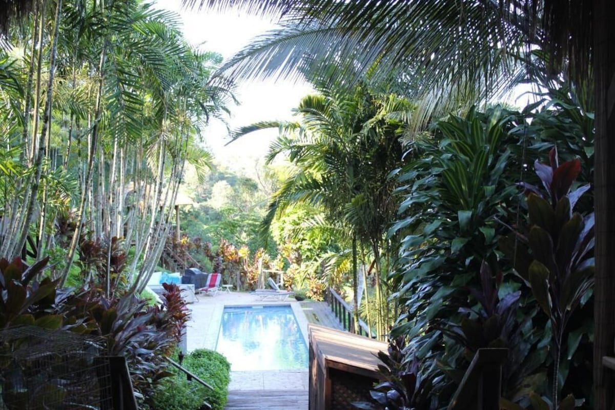 A pool area surrounded by lush tropical plants, with a wooden deck and lounge chairs.