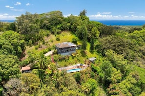 A house surrounded by dense tropical vegetation, with a clear view of the ocean in the background. - Marjorie Kauai Inn (Lawai)