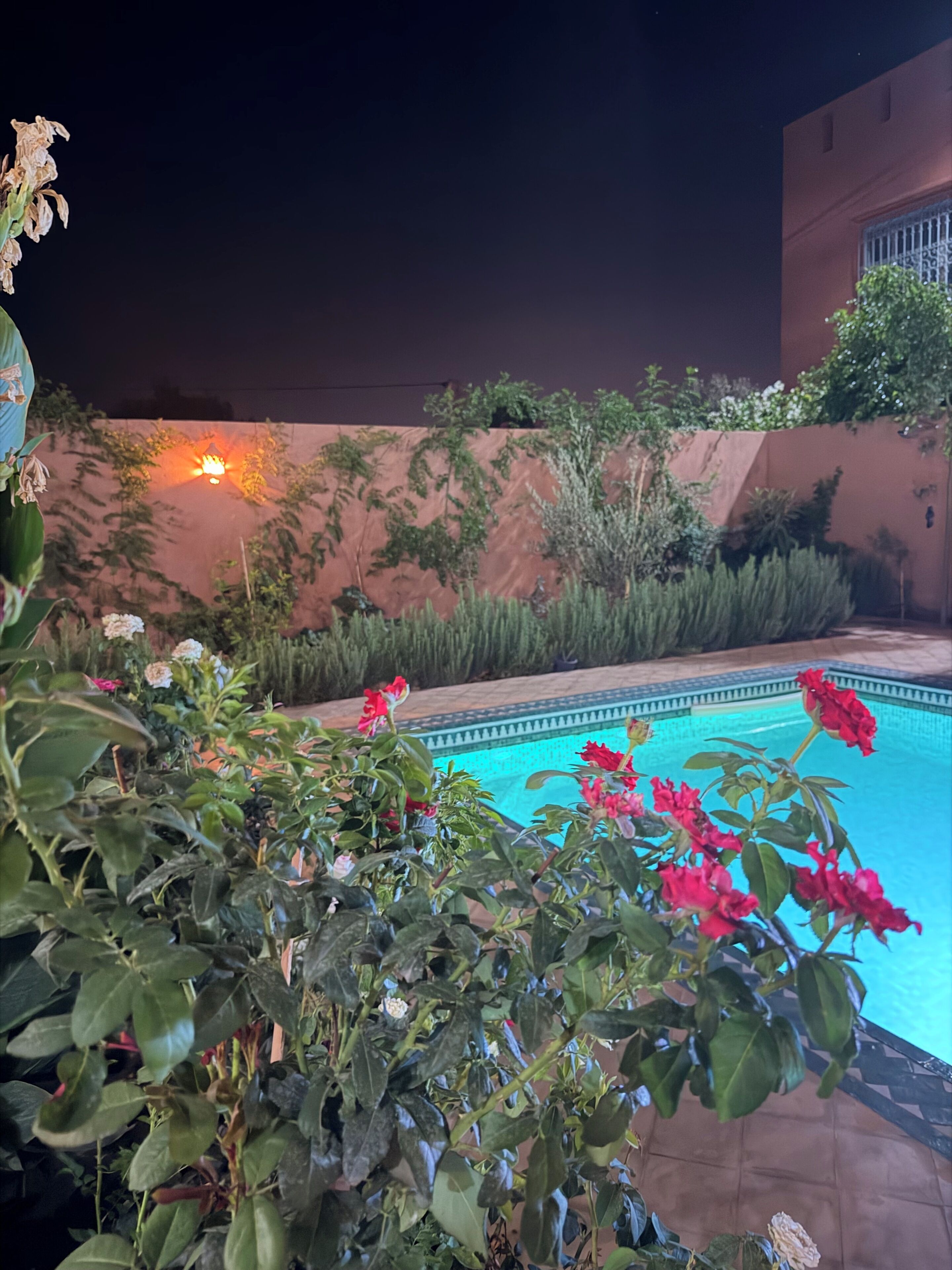 A pool area with a clear view of the water, surrounded by greenery and a building with a red facade.