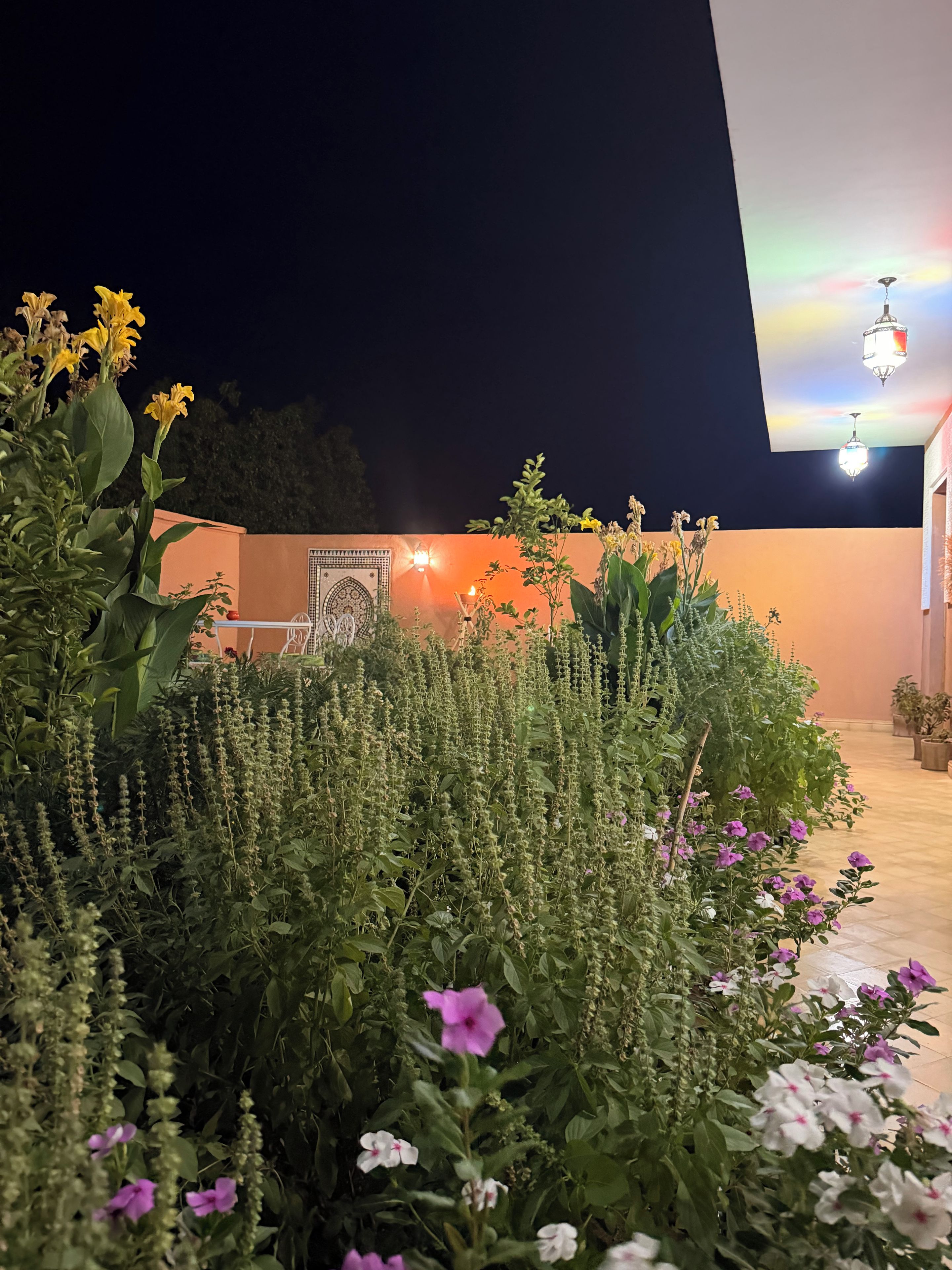 A garden with various plants and flowers, a wall with a decorative pattern, and a building with a light fixture.