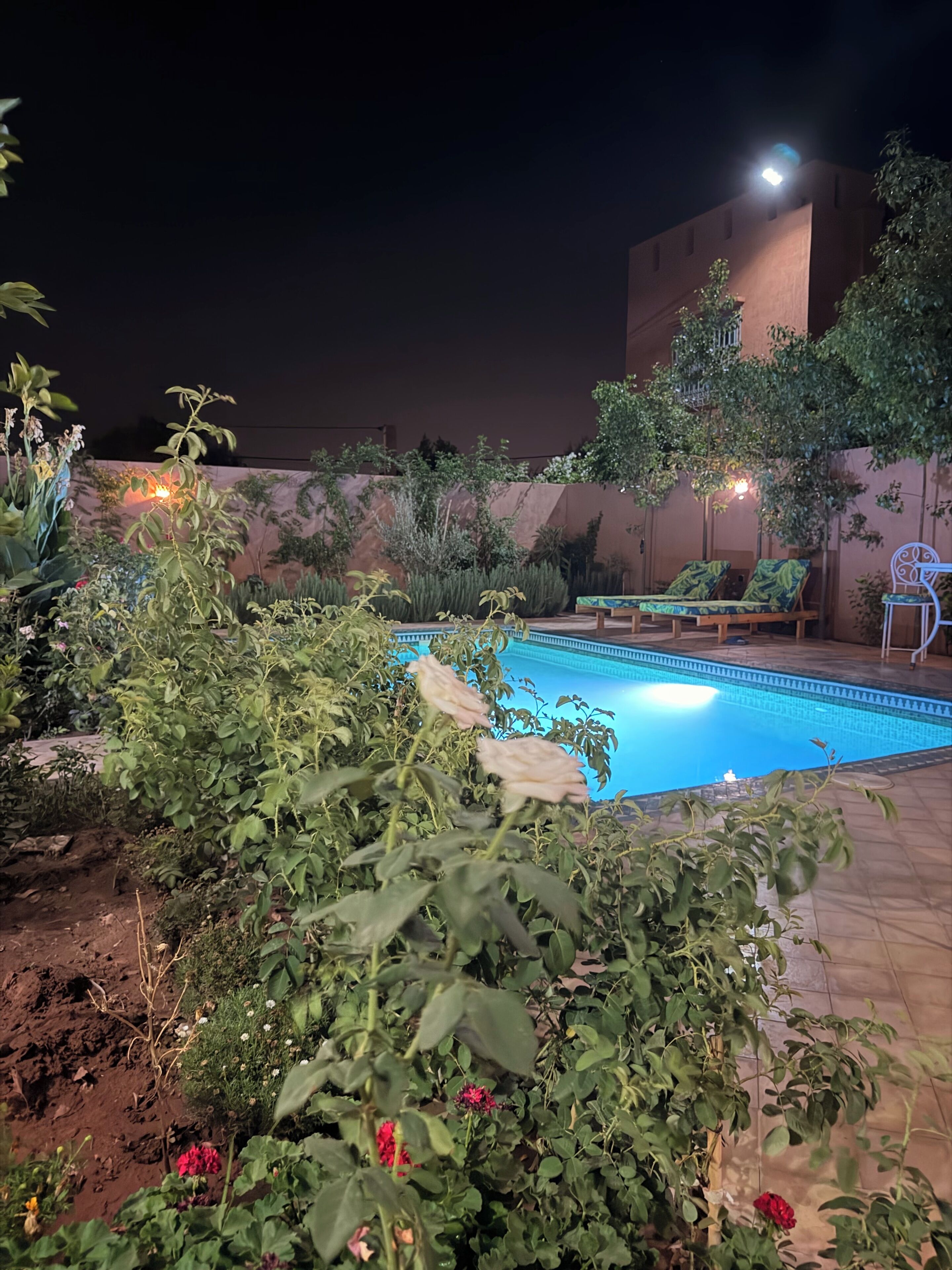 Un área de piscina con sillones reclinables y cielo nocturno.