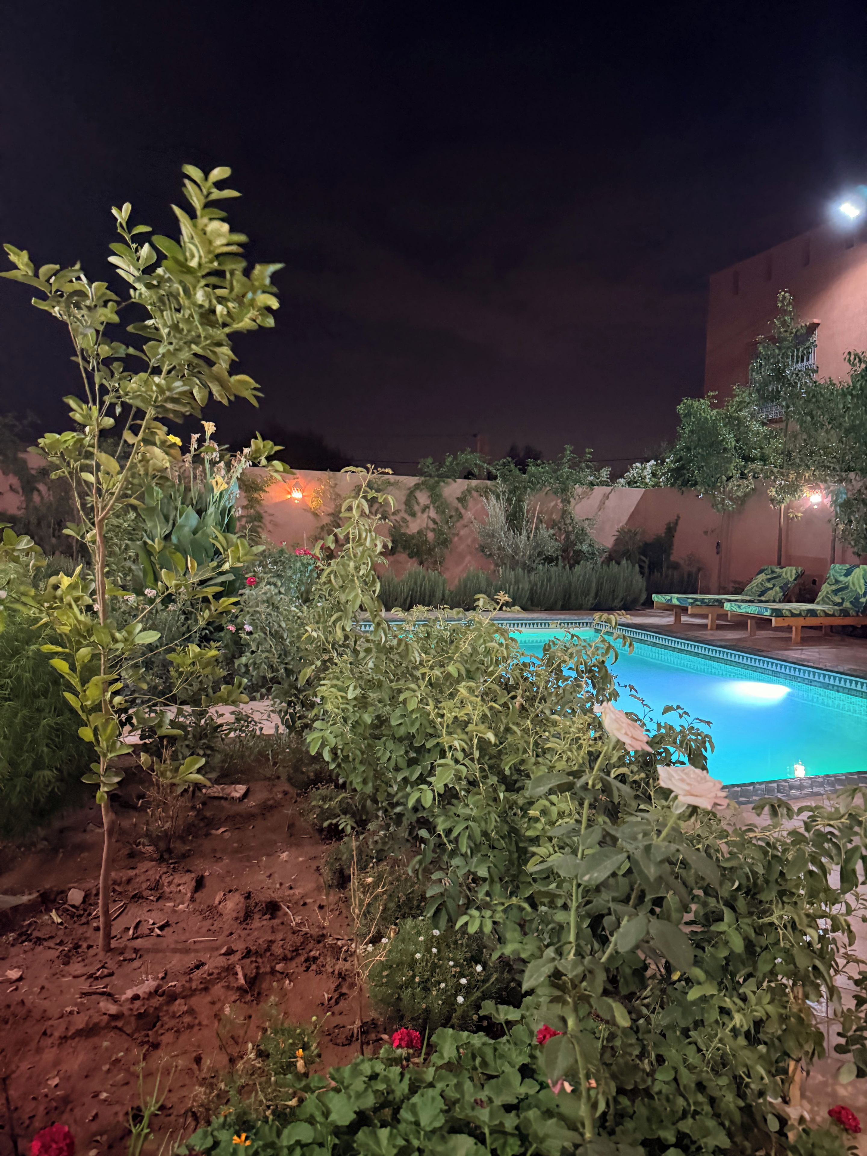 Zona de piscina con vegetación circundante y un edificio al fondo.