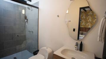 A bathroom with a glass-enclosed shower, a toilet, a sink, and a mirror.