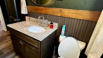 Un bagno con un mobile bagno in legno, un lavandino, un water e uno specchio.