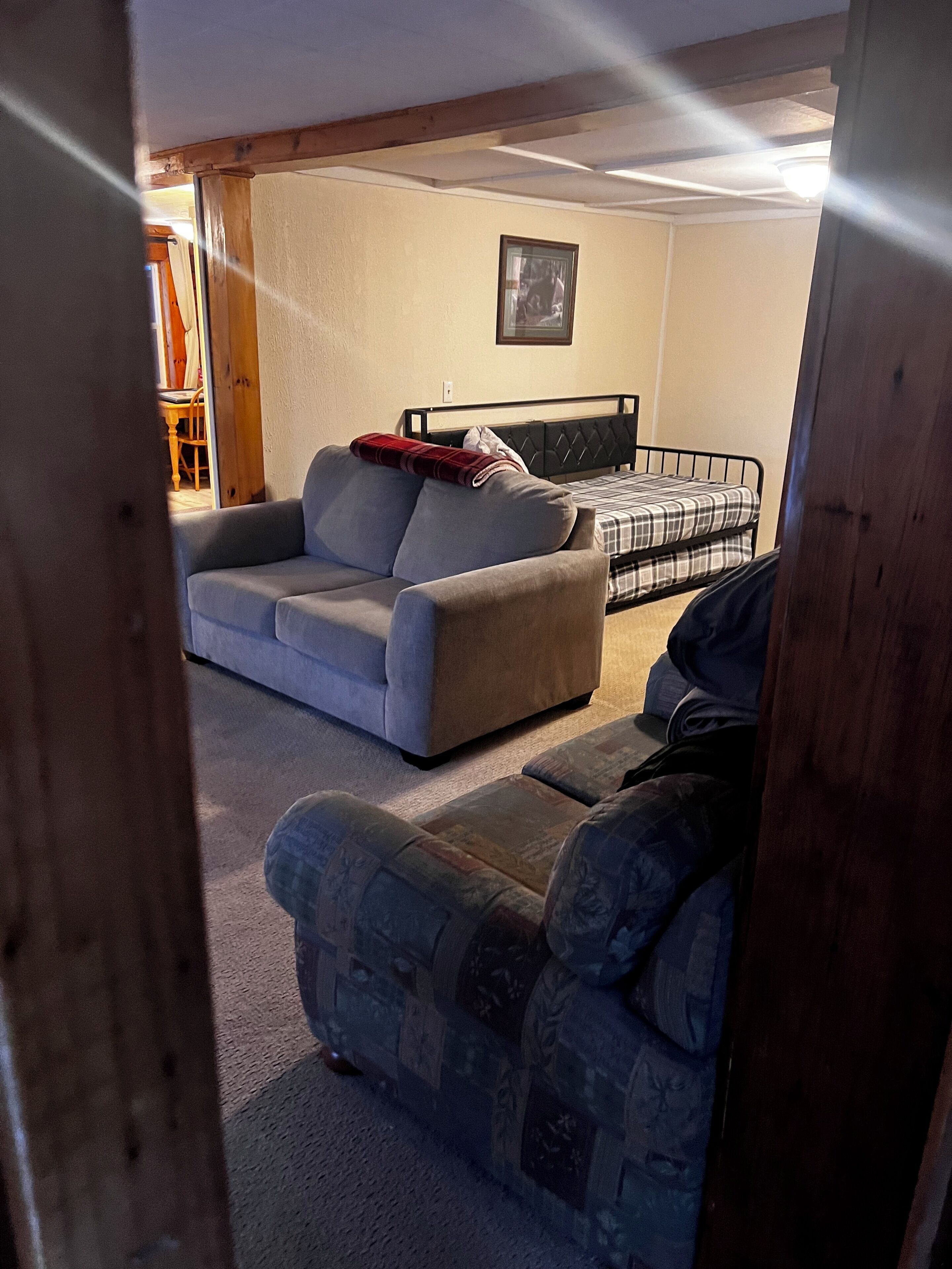 A room with a sofa, a bed, and a chair.
