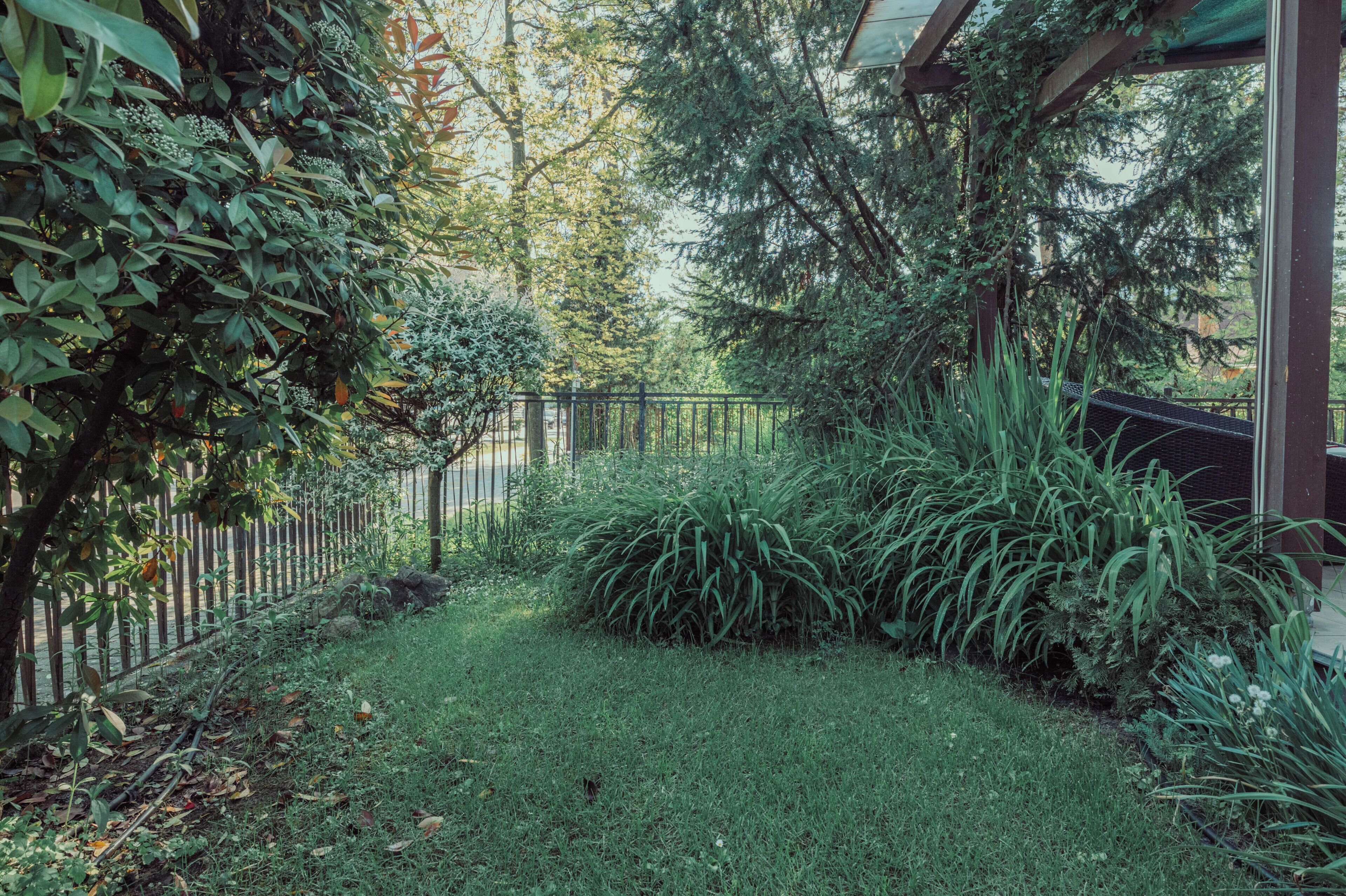 A lush garden with a variety of plants and a metal fence.