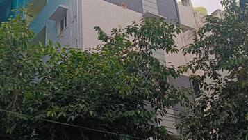 A multi-story building with a flat roof, a visible window, and a tree in the foreground.