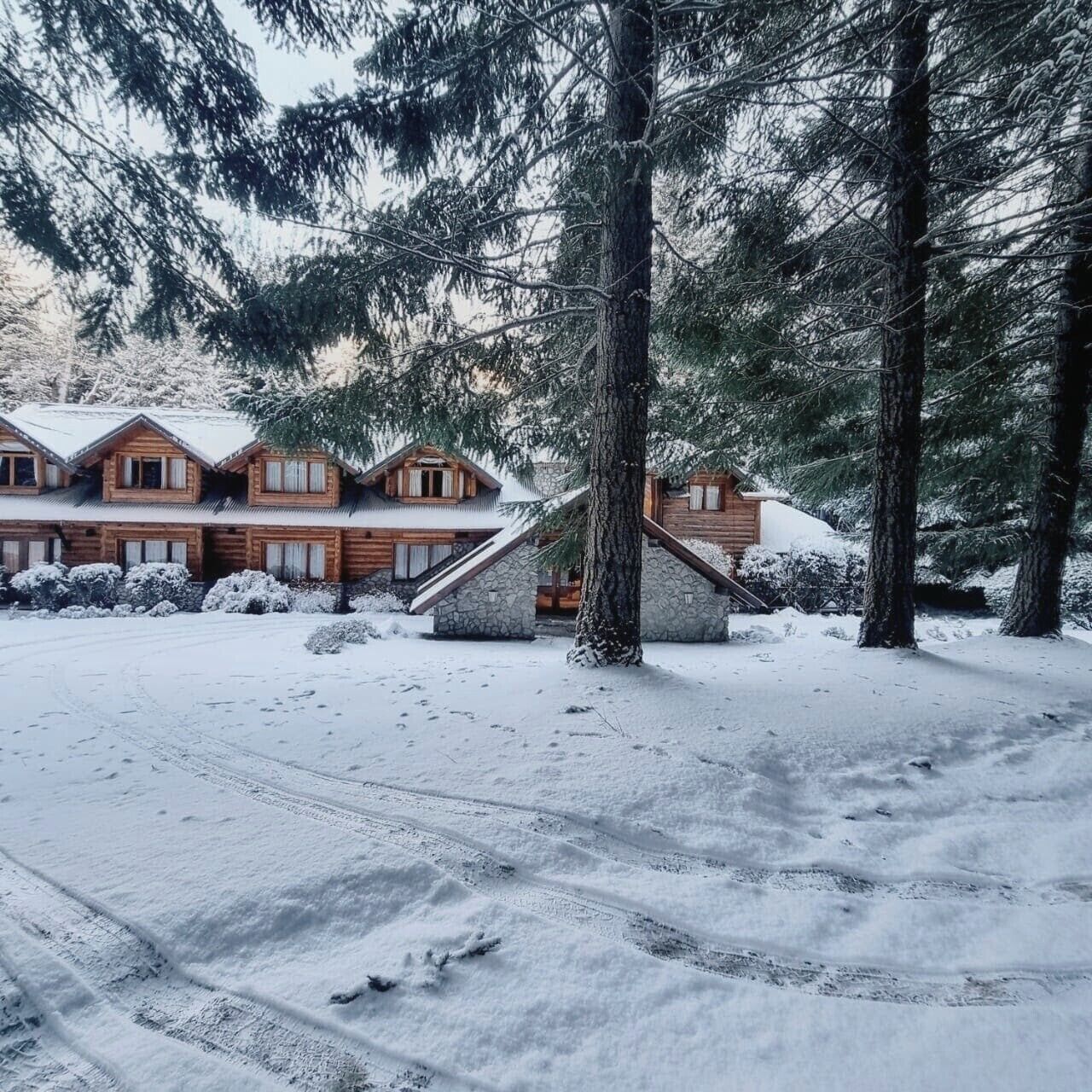 A wooden cabin with a stone foundation, surrounded by snow-covered trees.