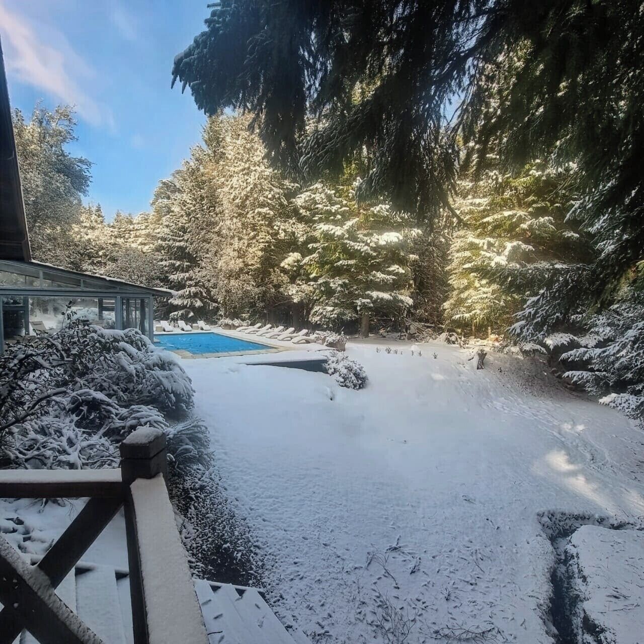 A snow-covered outdoor area with a pool, surrounded by trees.