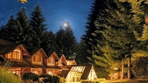 Uma cabana com telhado inclinado, rodeada por densas árvores de coníferas, sob um céu estrelado.